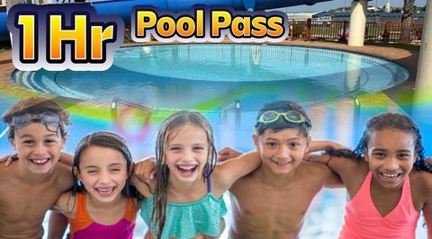 Jbay-swimmingpool-1hour-groups-dolphin-beach-entertainment